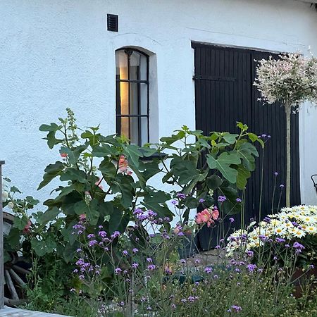 Backadal Gard Bnb Ystad Extérieur photo