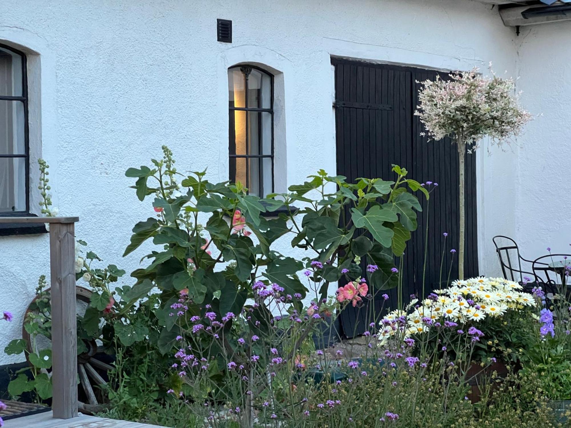Backadal Gard Bnb Ystad Extérieur photo
