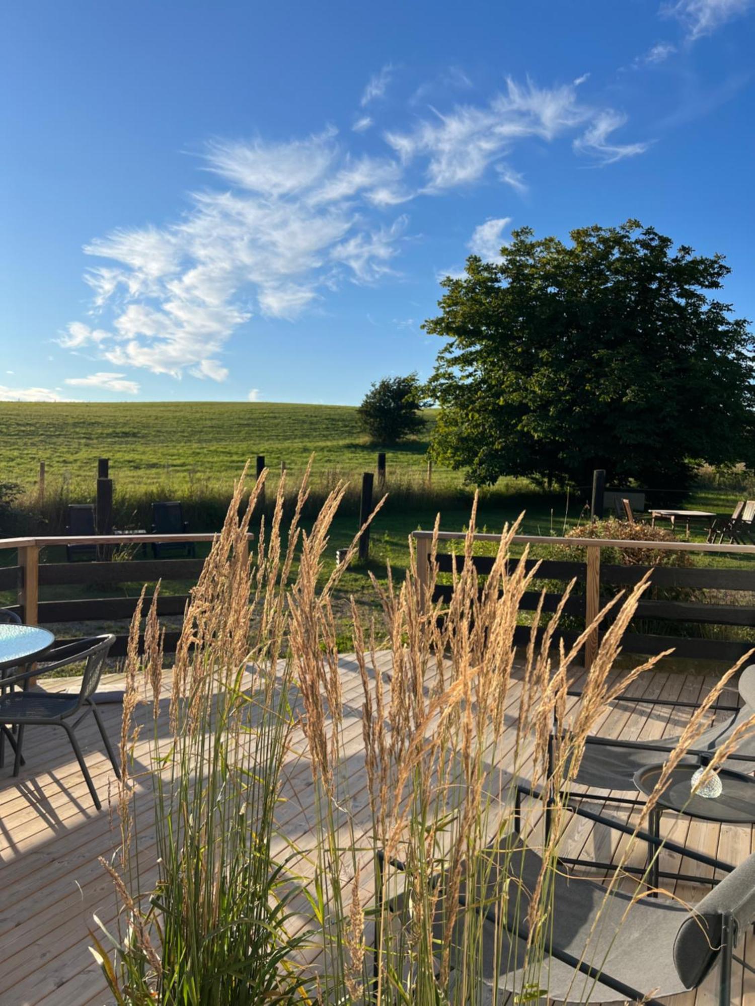 Backadal Gard Bnb Ystad Extérieur photo