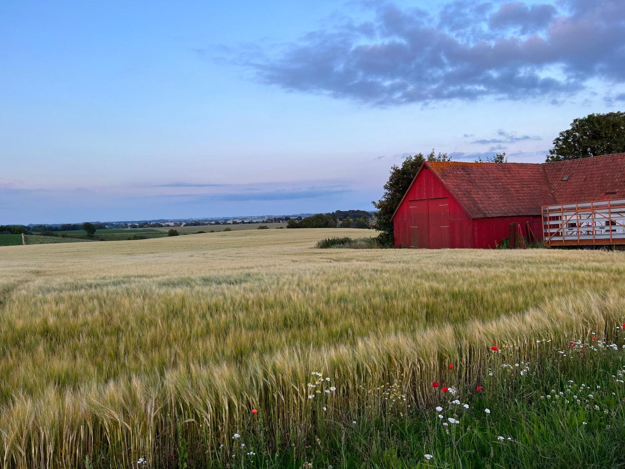 Backadal Gard Bnb Ystad Extérieur photo